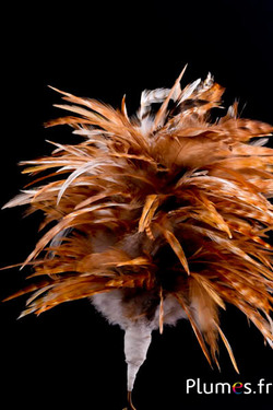 Plumet coq  avec anneau -  hauteur 20 cm - naturel
